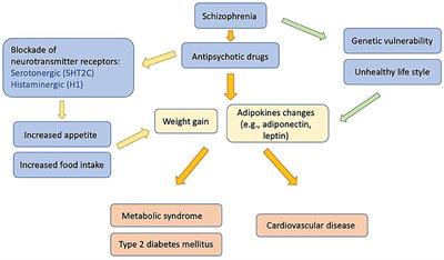 The Role of Adiponectin in the Pathogenesis of Metabolic Disturbances in Patients With Schizophrenia